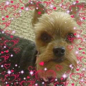 Meet your Posher, Linda